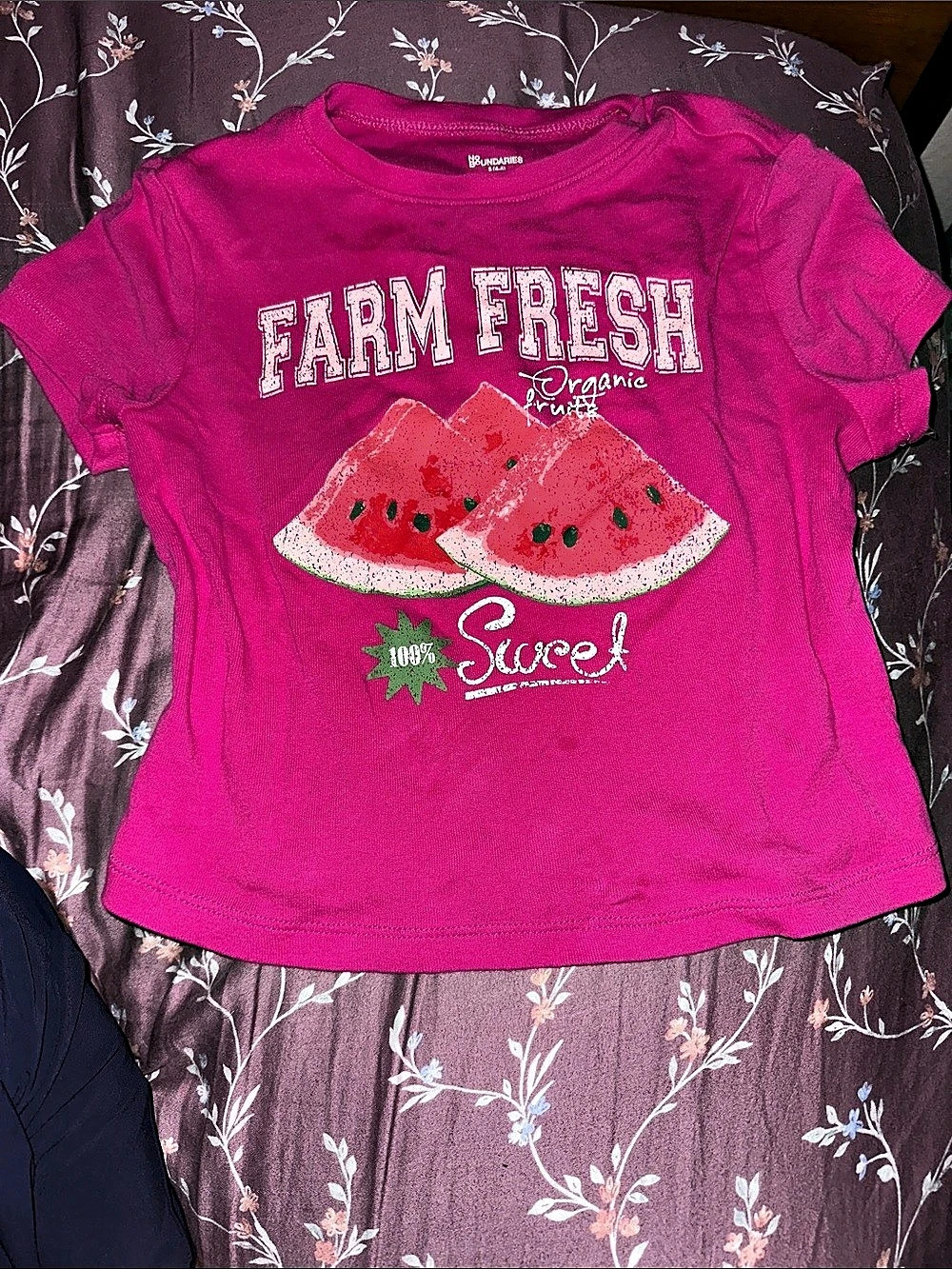 No Boundaries Farm Fresh Watermelon Graphic Tee